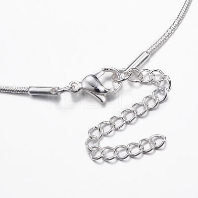 304 Stainless Steel Snake Chain Necklaces NJEW-E087-01S-1