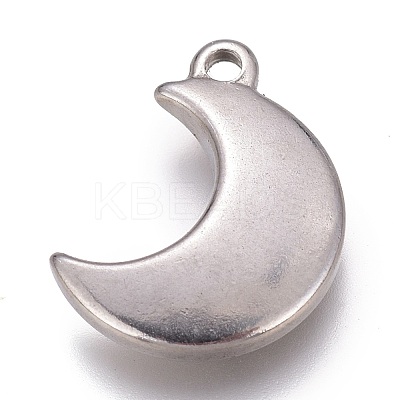 Tarnish Resistant 304 Stainless Steel Charms X-STAS-H119-04P-1