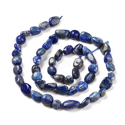 Natural Lapis Lazuli Beads Strands G-F575-01F-1