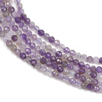 Natural Amethyst Beads Strands G-L628-B09-2mm-1