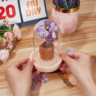 1 Set Glass Cloche Bell Jar Terrarium with 1Pc Handmade Knitting Crochet Artificial Myosotis Sylvatica Potted DJEW-WR0001-01A-1
