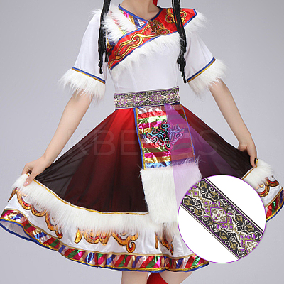 Ethnic Style Embroidery Polyester Ribbons OCOR-WH0070-04B-1