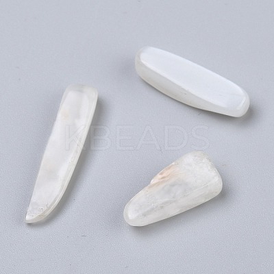 Natural White Moonstone Beads G-I304-04-1