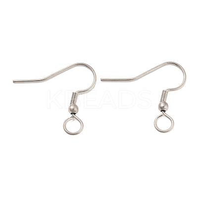 Tarnish Resistant 304 Stainless Steel Earring Hooks STAS-B047-30P-1