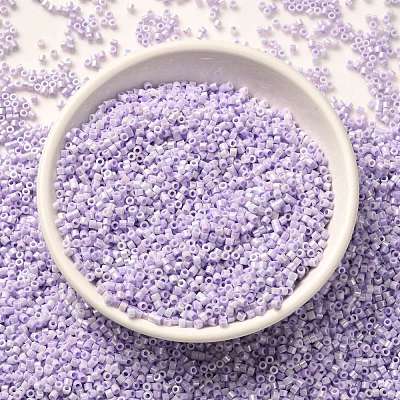 Cylinder Seed Beads SEED-H001-B06-1