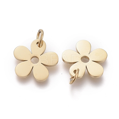 Ion Plating(IP) 316 Surgical Stainless Steel Charms STAS-H100-18G-1