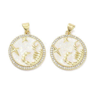 Brass Micro Pave Clear Cubic Zirconia Pendants KK-L213-010G-01-1