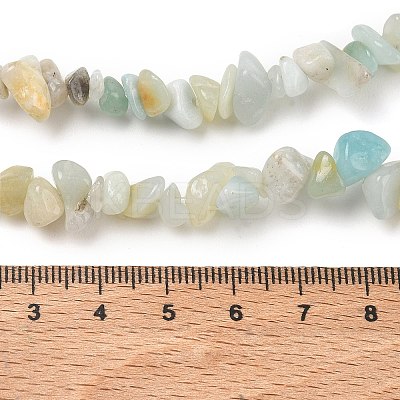 Natural Flower Amazonite Chips Beads Strands X-G-M205-12B-1