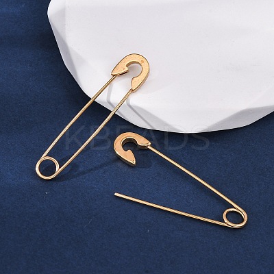 Ion Plating(IP) 304 Stainless Steel Dangle Earrings EJEW-F254-01G-1