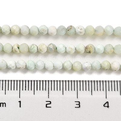 Natural Green Opal Beads Strands G-Z035-A02-02A-1