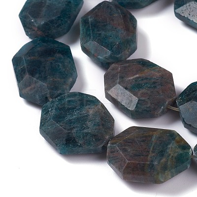 Faceted Natural Apatite Beads Strands G-H242-01B-1