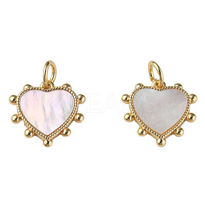 Natural Shell Charms X-KK-N233-210-1