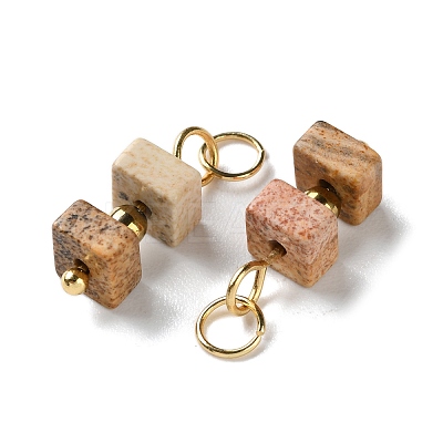 Natural Picture Jasper Cuboid Beaded Pendants STAS-C120-02G-04-1