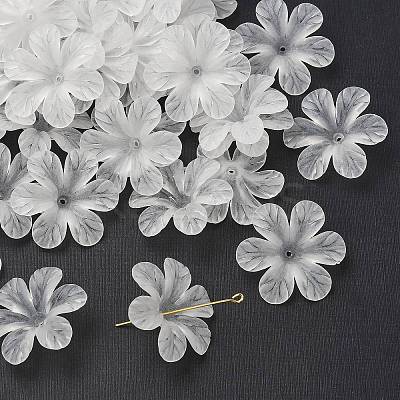 Transparent Acrylic Beads PAF154Y-11-1