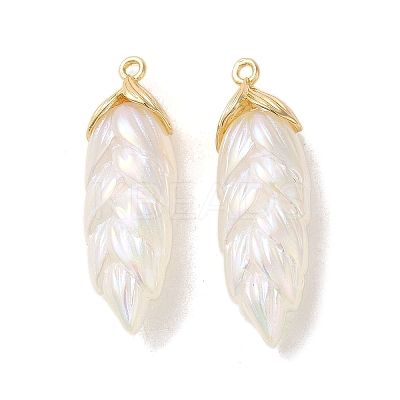 Rainbow Iridescent Plating Resin Pendants RESI-C047-03B-G-1