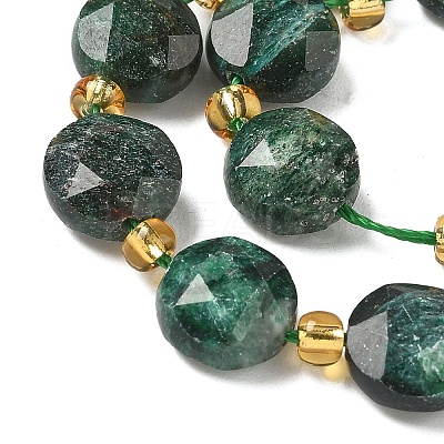 Natural Fuchsite Beads Strands G-G271-C03-10mm-1