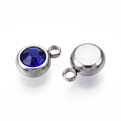 303 Stainless Steel Rhinestone Charms STAS-S068-16-1
