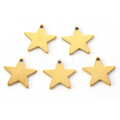 PVD Vacuum Plating 304 Stainless Steel Charms X-STAS-N092-67G-1