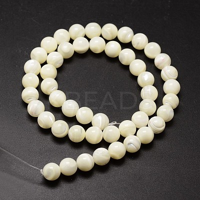 Shell Beads Strands SSHEL-E571-39-3mm-1