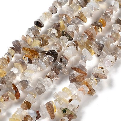 Natural Botswana Agate Beads Strands LS-G-E607-A10-1