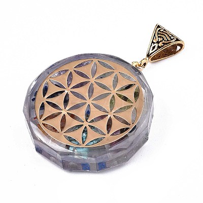 Transparent Epoxy Resin Alchemy Pendants RESI-T049-15-1