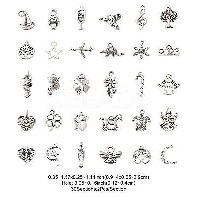 60Pcs 30 Style Tibetan Style Zinc Alloy Charms TIBEP-FS0001-09-1