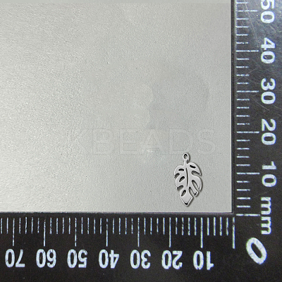 304 Stainless Steel Charms LS-STAS-CJC0008-15P-1