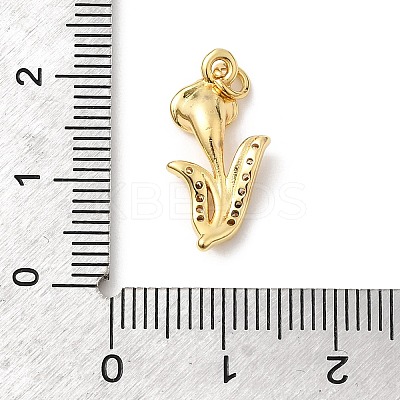 Brass Micro Pave Cubic Zirconia Pendants KK-Z135-01G-02-1