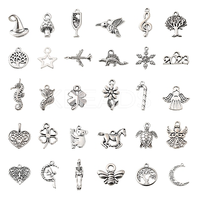 60Pcs 30 Style Tibetan Style Zinc Alloy Charms TIBEP-FS0001-09-1
