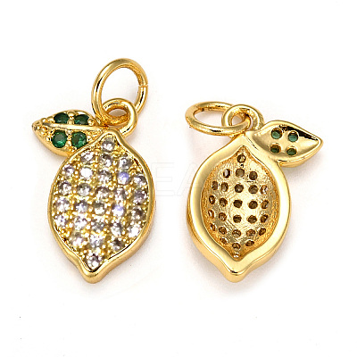 Brass Micro Pave Cubic Zirconia Charms ZIRC-L093-18G-1