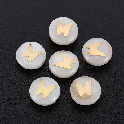 Natural Freshwater Shell Beads SHEL-S278-064-1