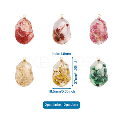12Pcs 6 Colors Resin Pendants RESI-CD0001-08-1