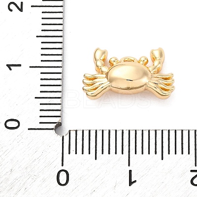Brass Pendants KK-E793-26G-1