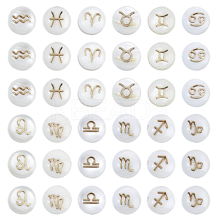 36Pcs 12 Styles Natural White Shell Beads SHEL-FH0001-27-1