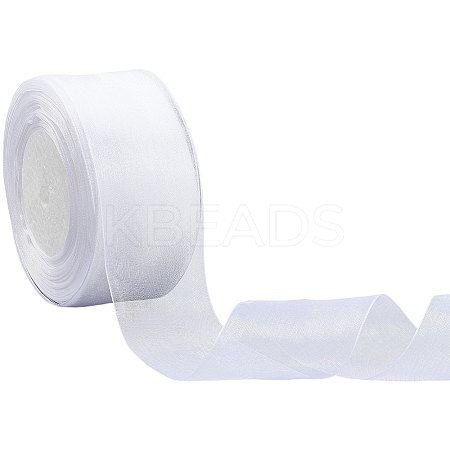 1 Rolls Sheer Organza Ribbon SRIB-CY0001-22C-10-1