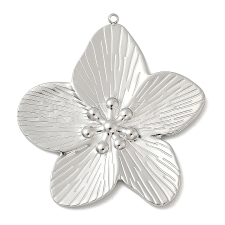 304 Stainless Steel Big Pendants STAS-D127-19B-P-1