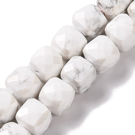 Natural Howlite Beads Strands G-G001-B03-06-1