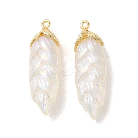 Rainbow Iridescent Plating Resin Pendants RESI-C047-03B-G-1