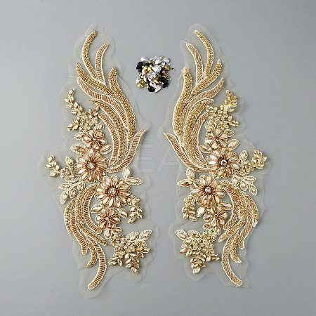 Phoenix Tail Pattern Glass Rhinestone & Mesh Base Fabrics Handwork Embroidery Cloth Sew on Appliques PATC-WH0009-02C-1
