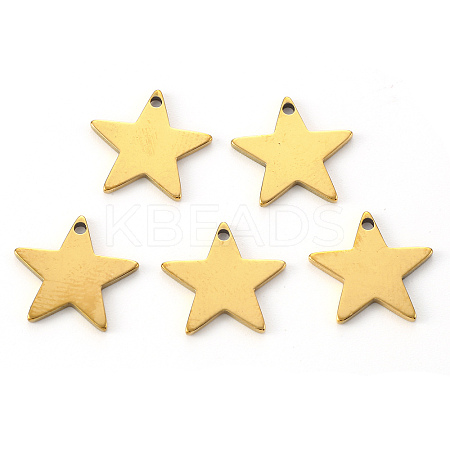 PVD Vacuum Plating 304 Stainless Steel Charms X-STAS-N092-67G-1