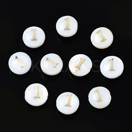 Natural Freshwater Shell Beads SHEL-N003-20-01-1