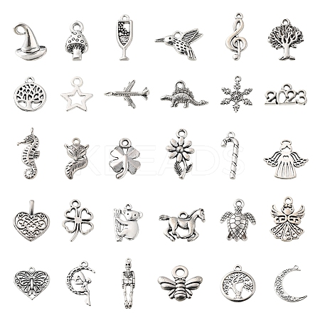 60Pcs 30 Style Tibetan Style Zinc Alloy Charms TIBEP-FS0001-09-1