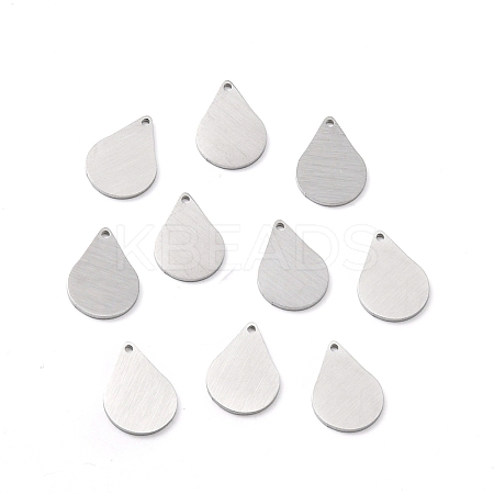 Tarnish Resistant 304 Stainless Steel Pendants STAS-F271-05B-P-1