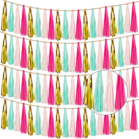 Tissue Paper Tassels Garland AJEW-WH20006-110A-1