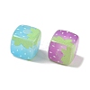 Printed Acrylic European Beads AC-CBA4EF4-06-2