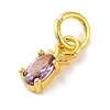 Rack Plating Brass Micro Pave Cubic Zirconia Charms KK-F881-03G-08-2