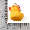 Resin Pendants FIND-U031-13B-P-3