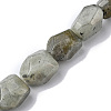 Natural Labradorite Beads Strands G-F743-04D-1