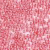 8/0 Glass Seed Beads SEED-A015-3mm-2204-2