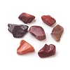 Natural Bloodstone Beads X-G-L491-01-2